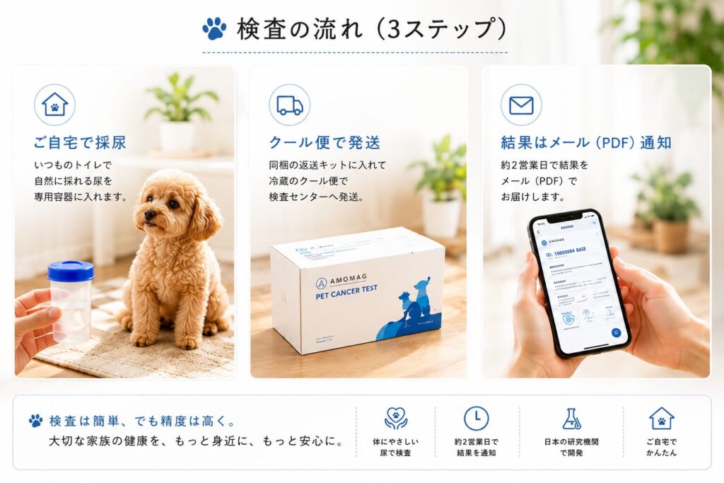 犬のがん検査の検査の流れ
