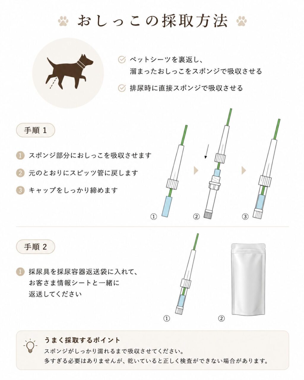 犬の尿検査キットの採取方法