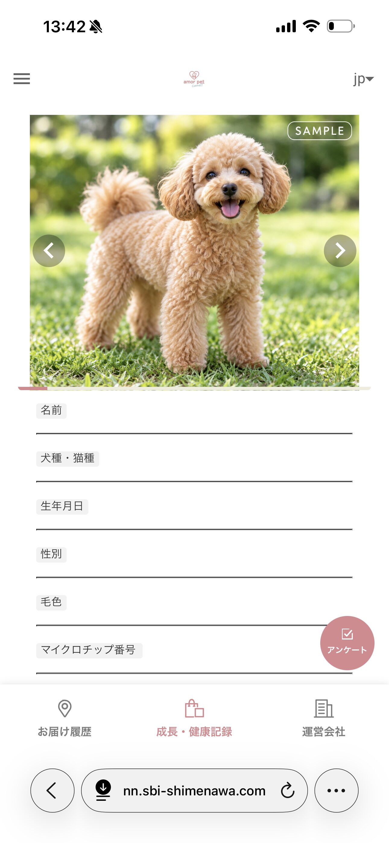 amor pet connect 飼い主マイページの実際の画面